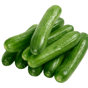 Cucumber / کھیرا