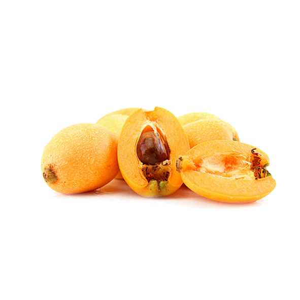 Loquat /لوکاٹ