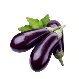 Eggplant / بینگن