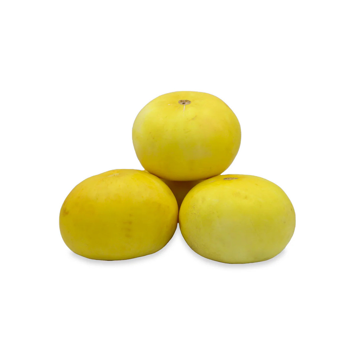 Melon /خربوزہ