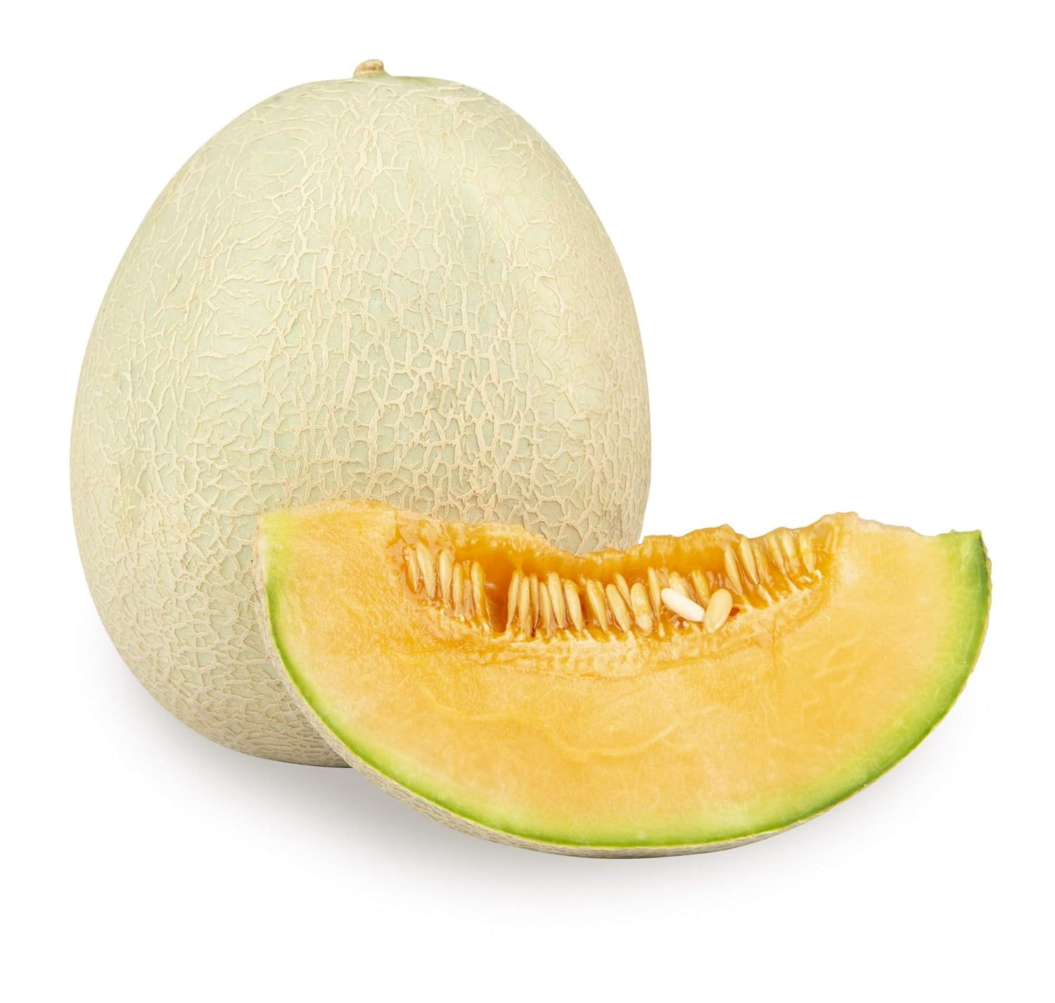 Muskmelon /شربوزہ پیلا