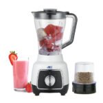 Anex AG-6134UB Deluxe Blender & Grinder