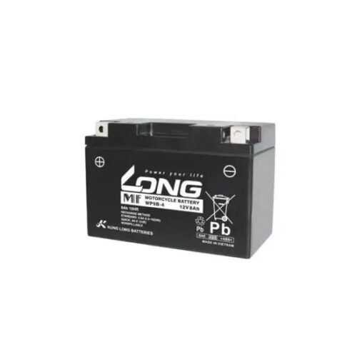 Long 12V 8AH Dry Maintenance Free Motorcycle Battery (WP9B-4)