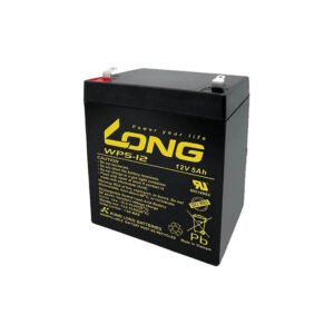 Long WP5-12 12V 5Ah Lead Acid Battery