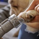 DREMEL Pet Nail Grooming Kit 7020-PGK